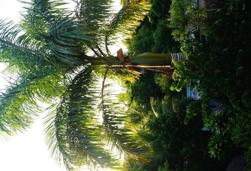 فندق Casa Don Diego