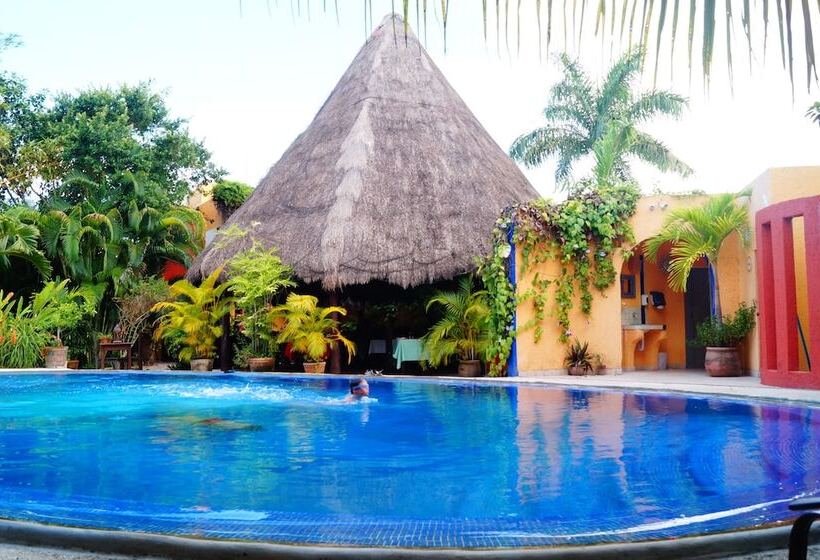 فندق Casa Don Diego