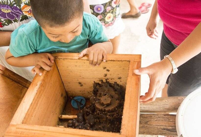 فندق Casa Don Diego