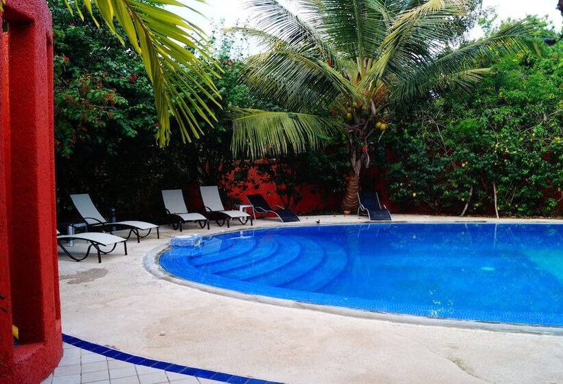 فندق Casa Don Diego