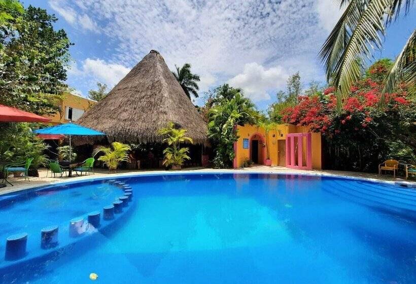 فندق Casa Don Diego