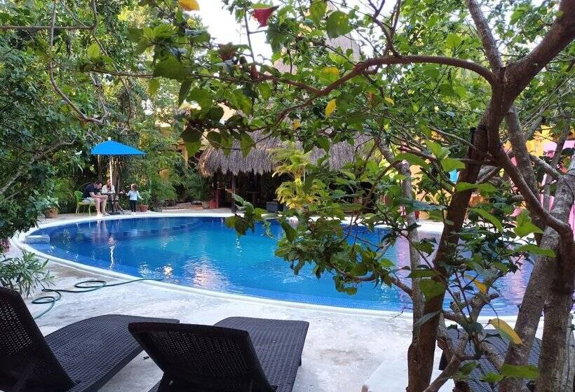 فندق Casa Don Diego