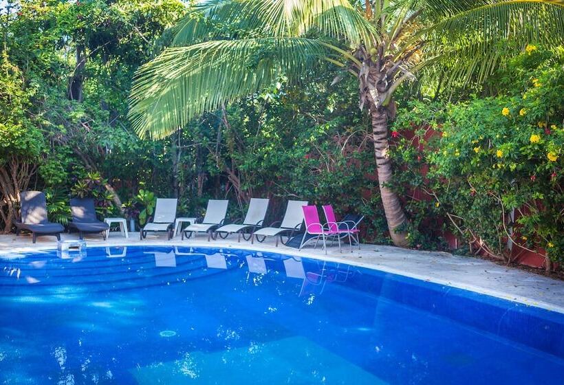 فندق Casa Don Diego