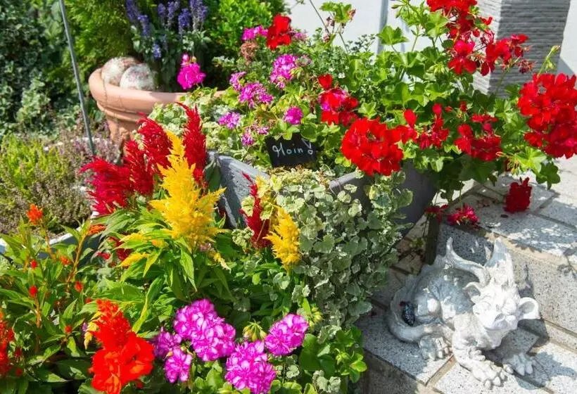 בית מלון כפרי Garni Am Eckernweg