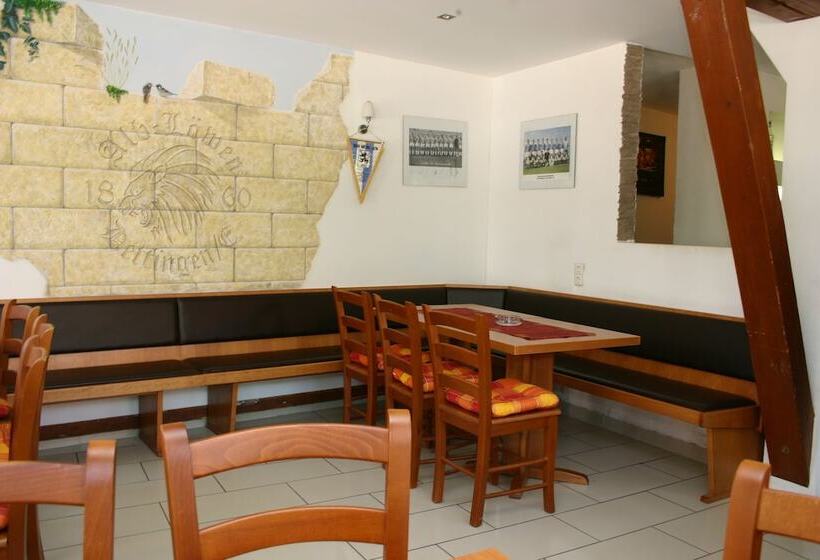 Отель Gasthaus Traube