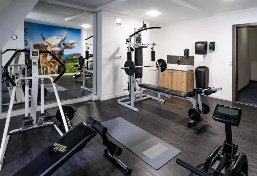 Отель Goldener Hirsch