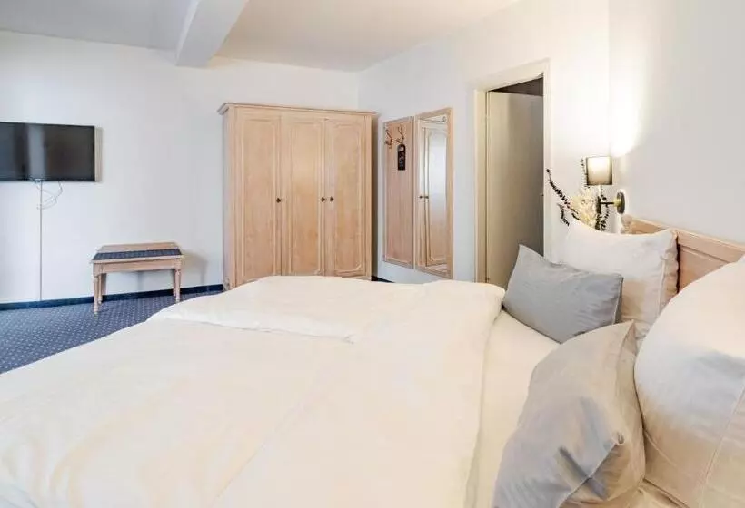 Отель Goldener Hirsch