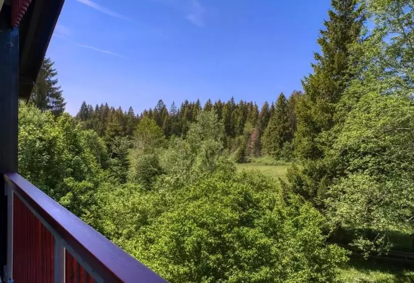 Отель Landhaus Sommerau