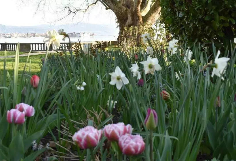 Отель Lindenallee