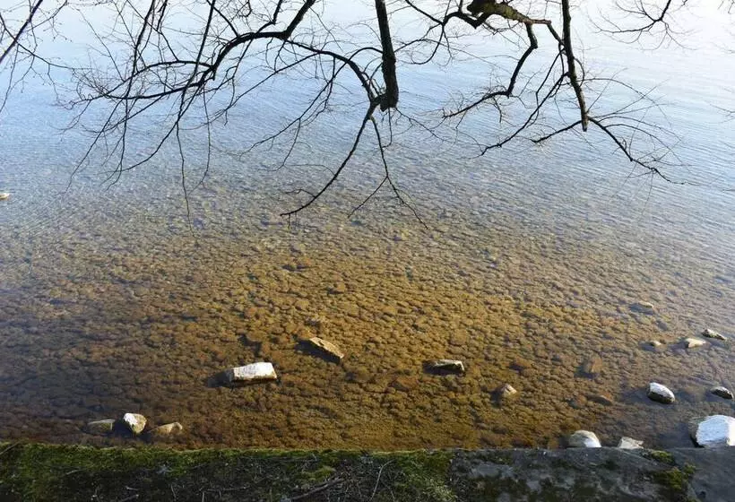 Отель Lindenallee