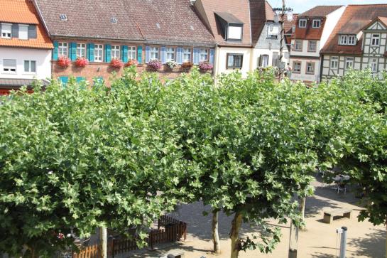 בית מלון כפרי Mainzer Hof