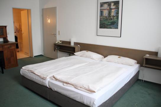 בית מלון כפרי Mainzer Hof