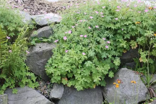 בית מלון כפרי Garni Milseburg