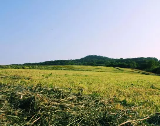 בית מלון כפרי Garni Milseburg