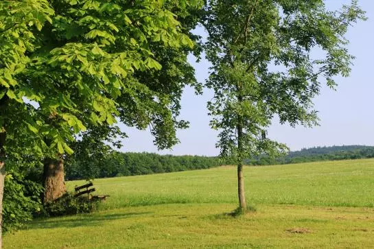 בית מלון כפרי Garni Milseburg