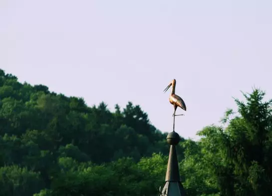 בית מלון כפרי Garni Milseburg