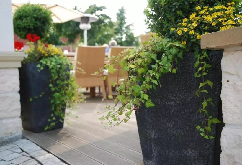 فندق Münsterländer Hof