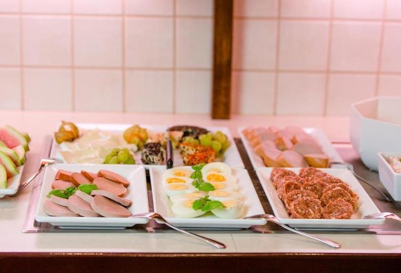 Отель Montana Limburg