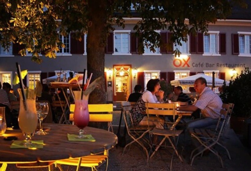 Отель Ox