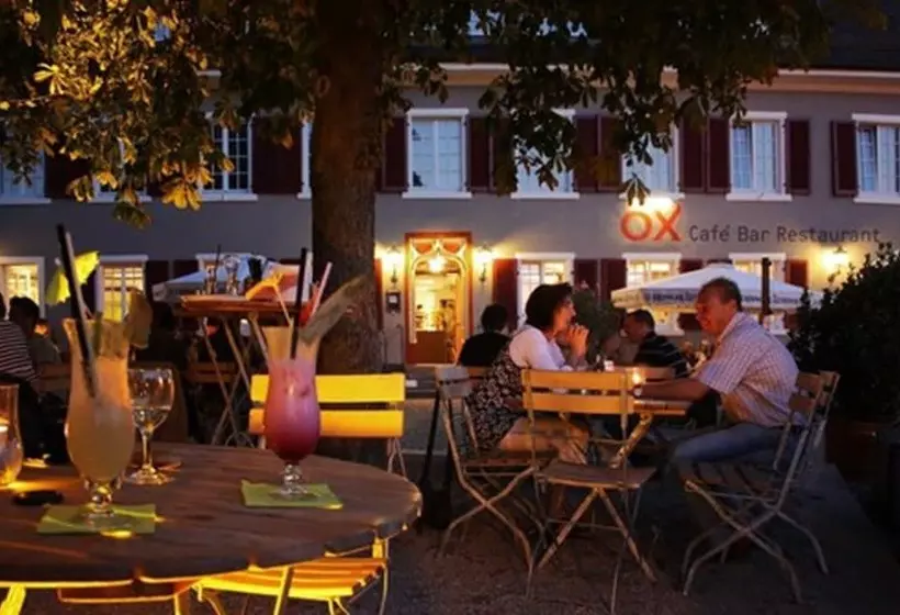 בית מלון כפרי Ox