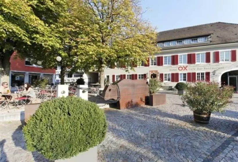 בית מלון כפרי Ox