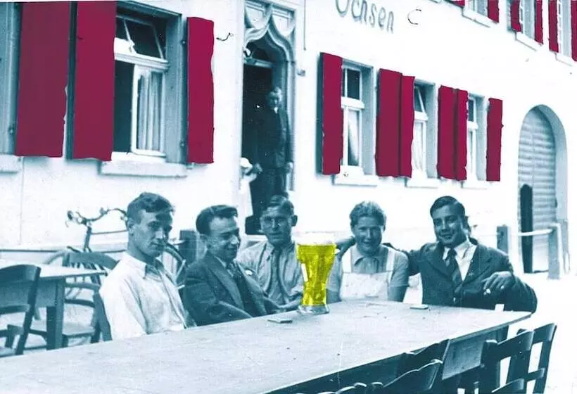 בית מלון כפרי Ox