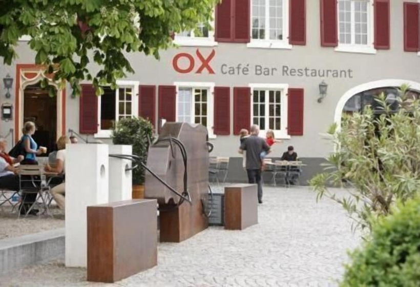 Отель Ox