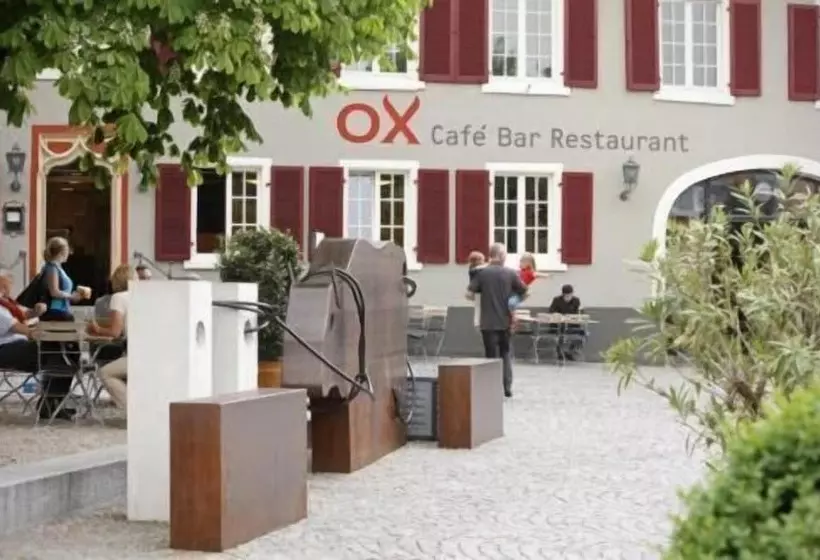 בית מלון כפרי Ox