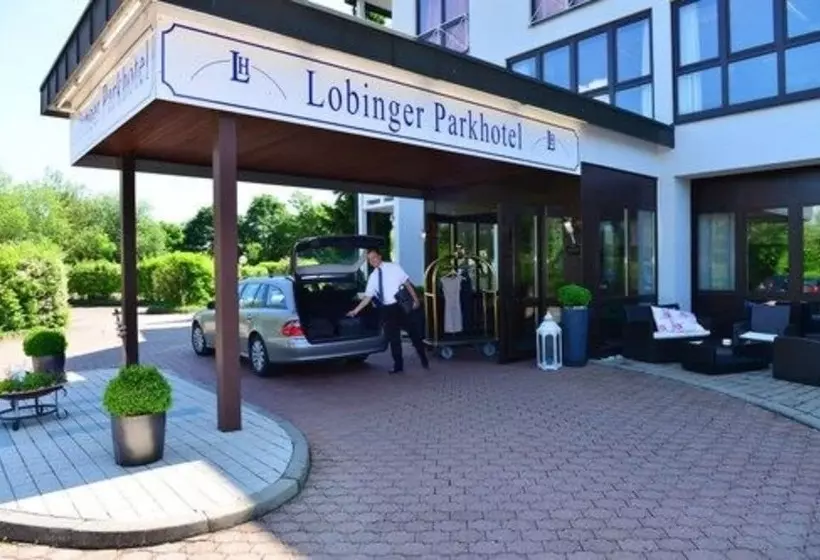 בית מלון כפרי Lobinger Park