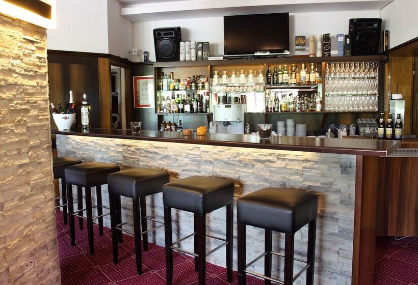 Отель Lobinger Park