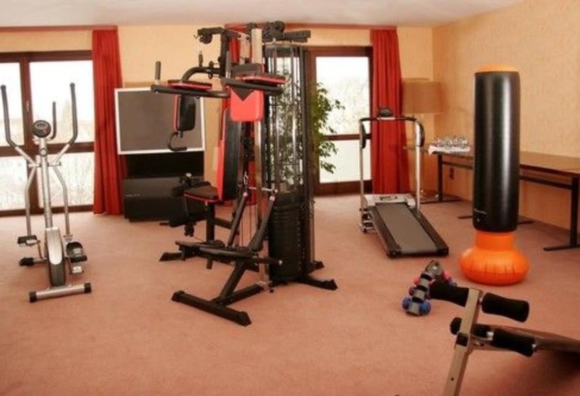 Отель Lobinger Park