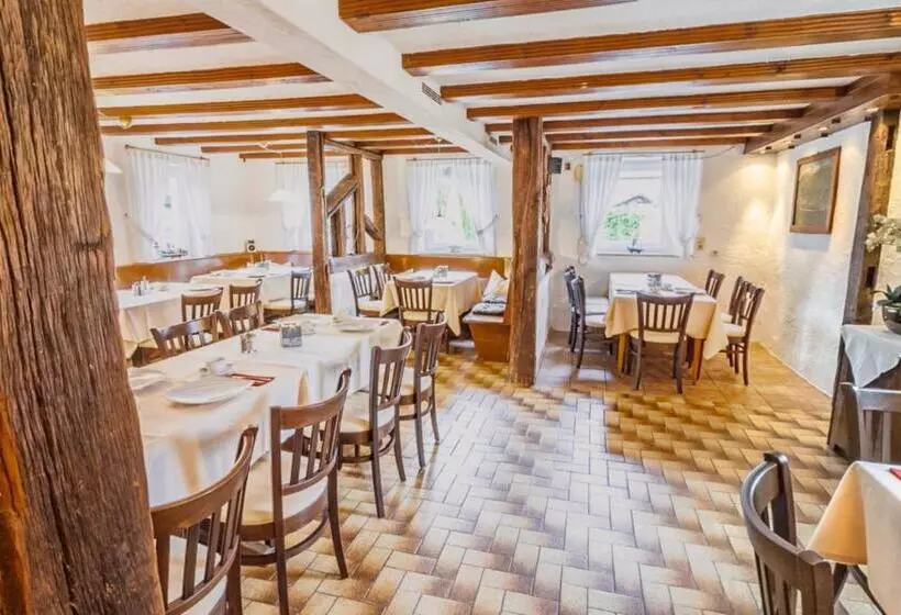 膳宿费 Gasthof Zum Ritter