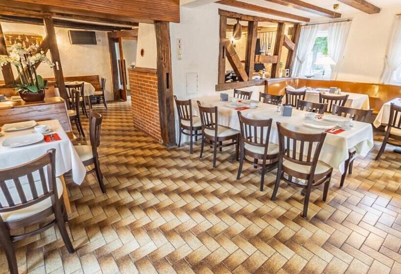 膳宿费 Gasthof Zum Ritter