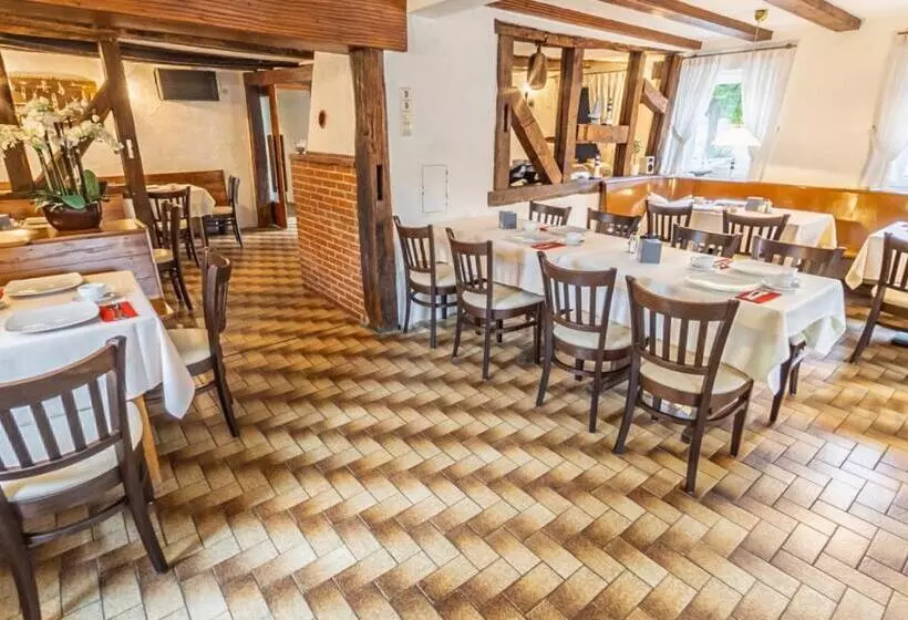 膳宿费 Gasthof Zum Ritter