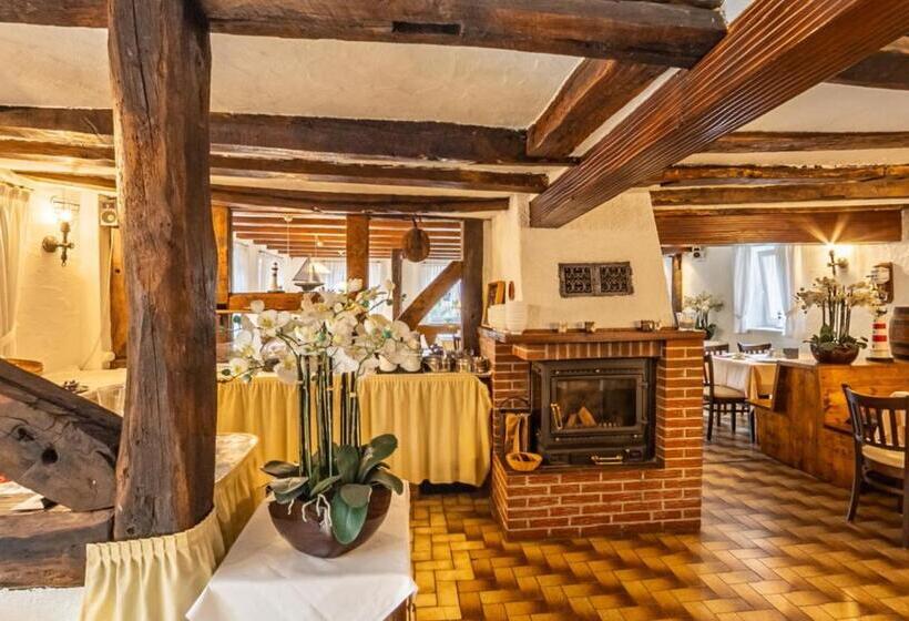 膳宿费 Gasthof Zum Ritter