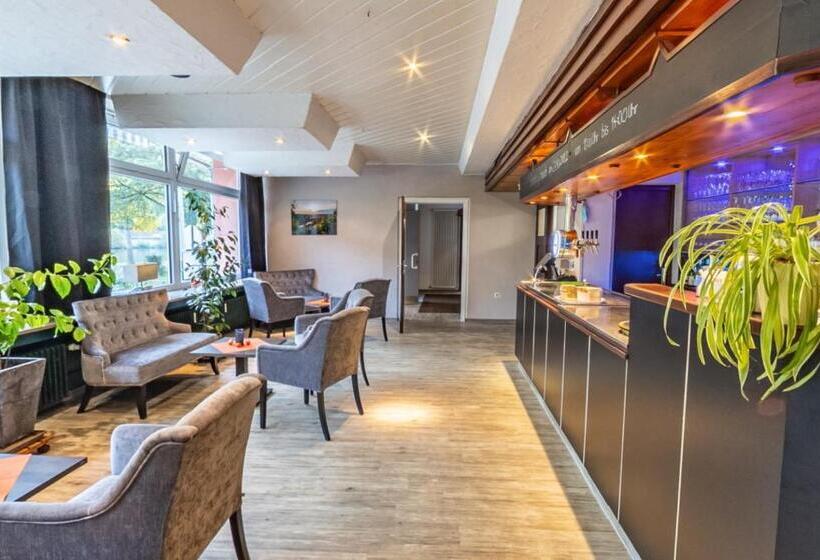 膳宿费 Gasthof Zum Ritter