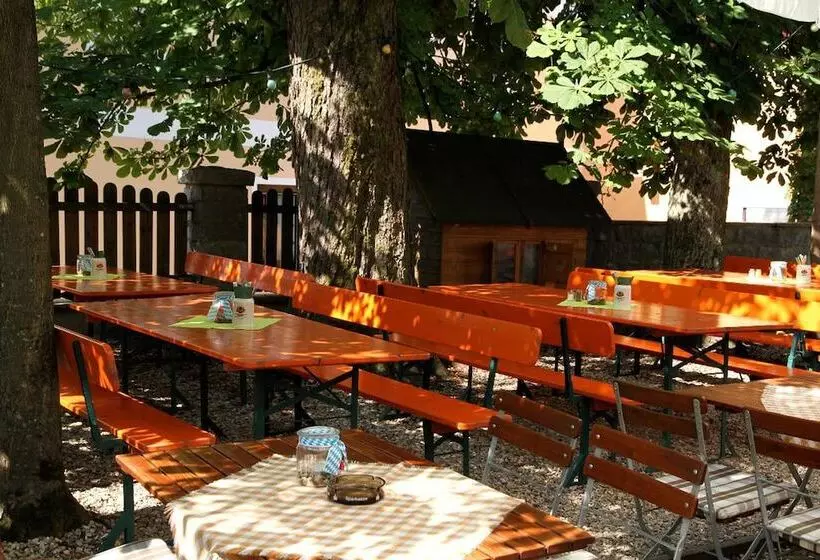 Пансион Landgasthof Fischer Veri