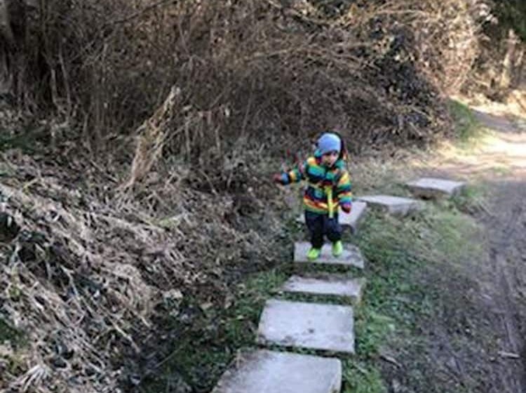 بنسيون Landgasthof Fischer Veri