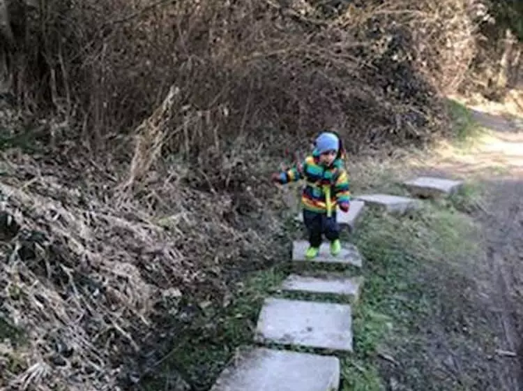 Пансион Landgasthof Fischer Veri