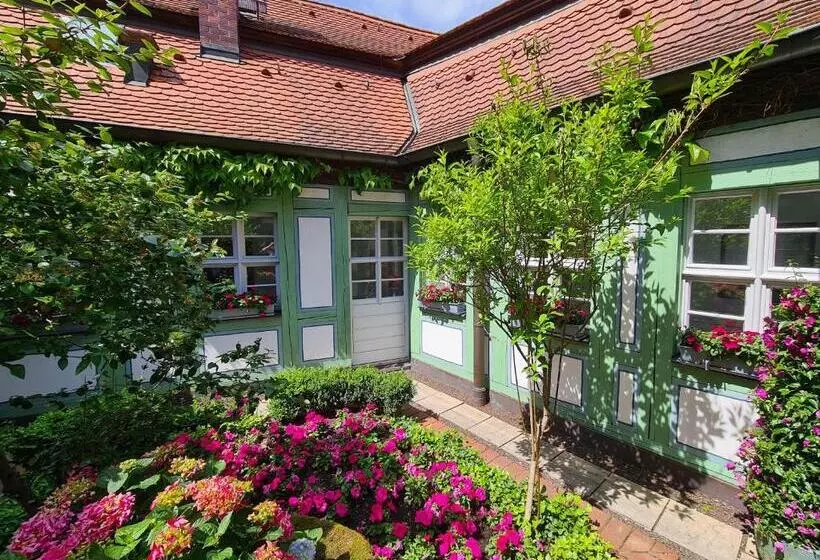 Altstadthotel Molitor