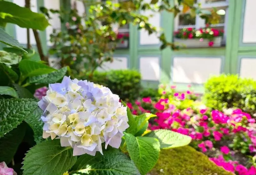 Altstadthotel Molitor