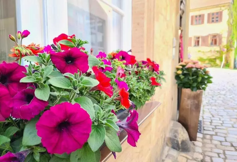 Altstadthotel Molitor