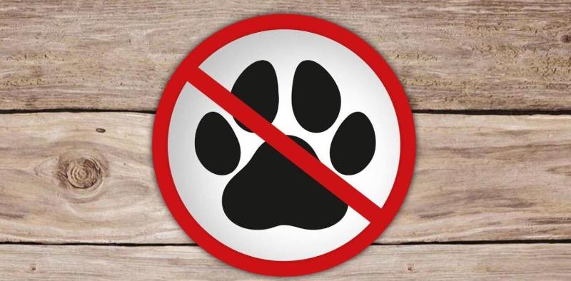 Appartementhotel Breitmattstub