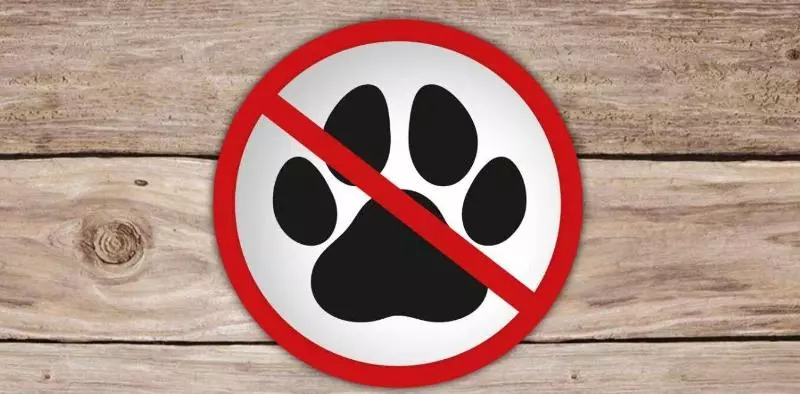 Appartementhotel Breitmattstub