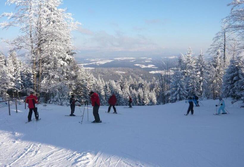 צימר Ferienwohnungen König