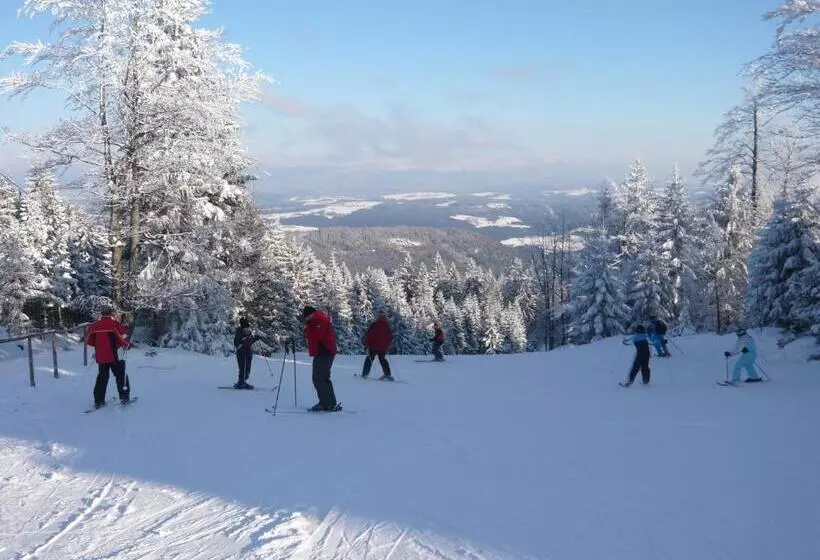 Bed and Breakfast Ferienwohnungen König