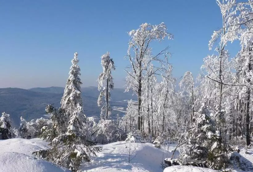 Bed and Breakfast Ferienwohnungen König