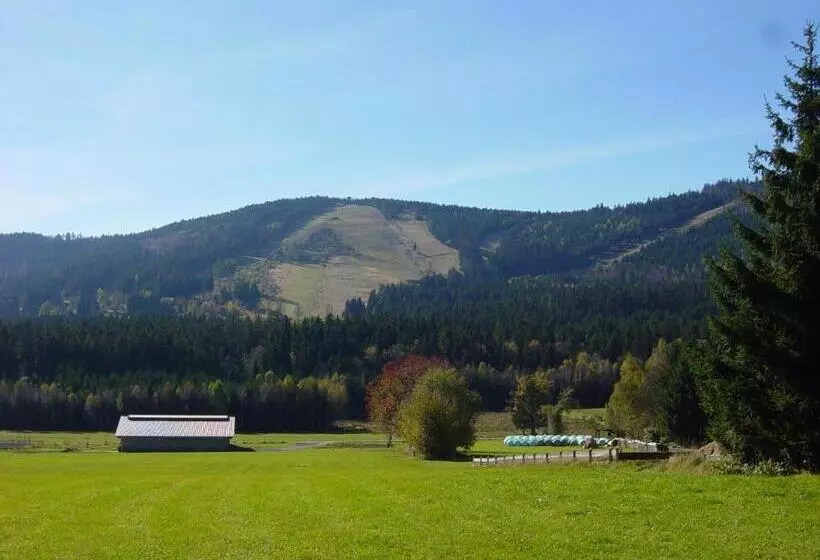 Bed and Breakfast Ferienwohnungen König