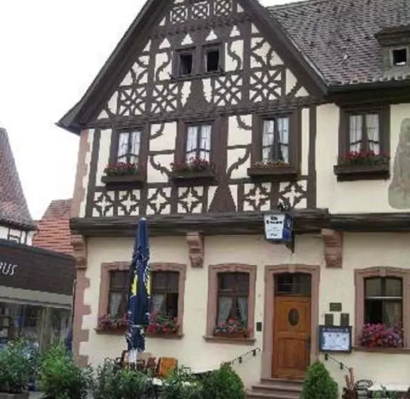 Отель Alte Brauerei