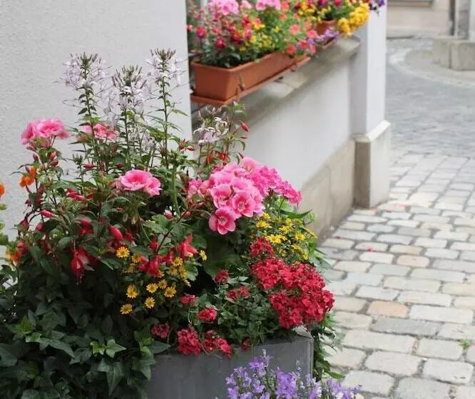 בית מלון כפרי Am Rathaus